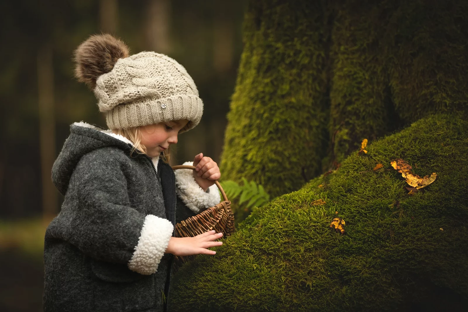 Ein Bild zur Veranschaulichung