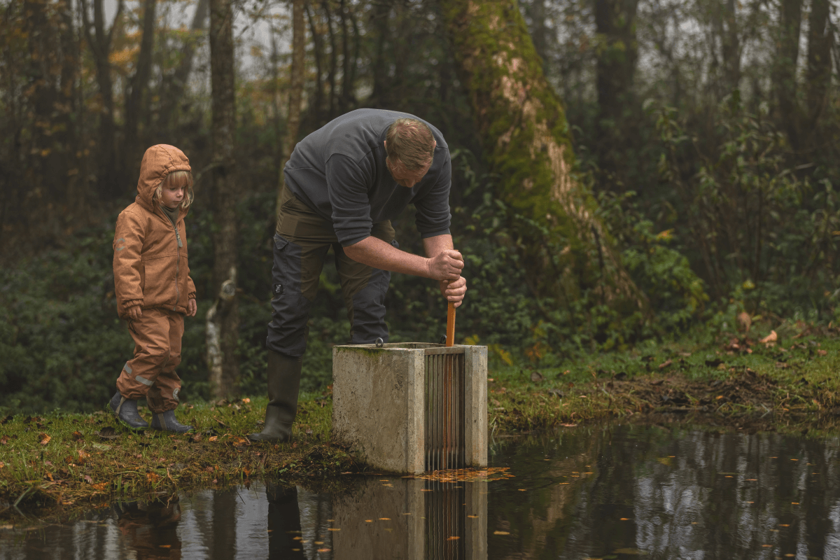 Ein Bild zur Veranschaulichung