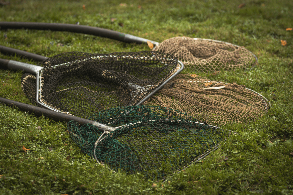 Ein Bild zur Veranschaulichung