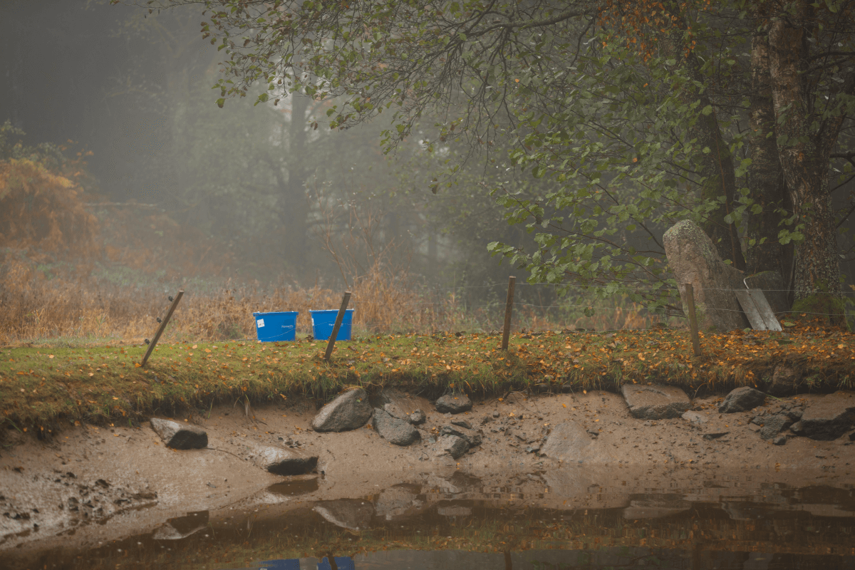 Ein Bild zur Veranschaulichung