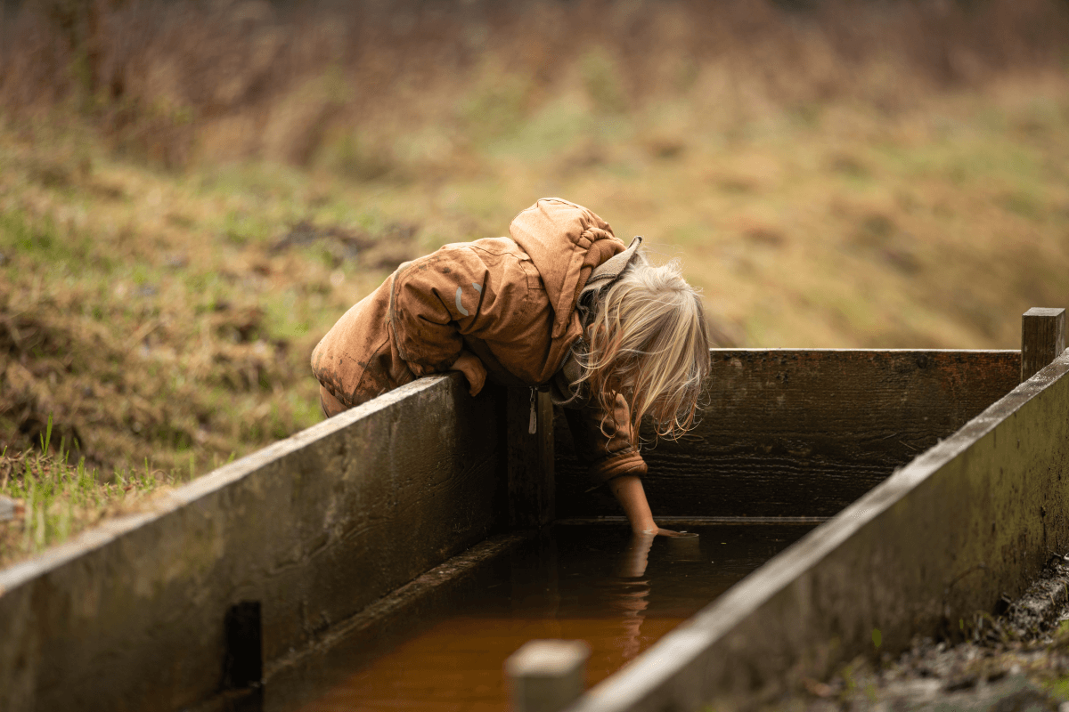 Ein Bild zur Veranschaulichung