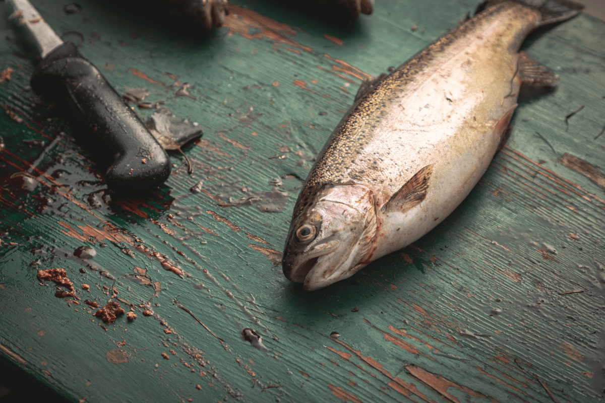 Ein Bild zur Veranschaulichung