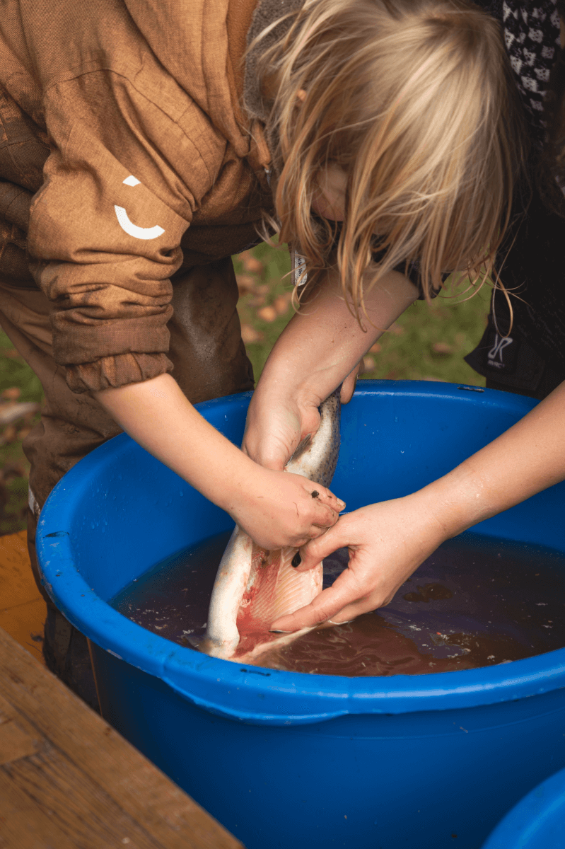 Ein Bild zur Veranschaulichung