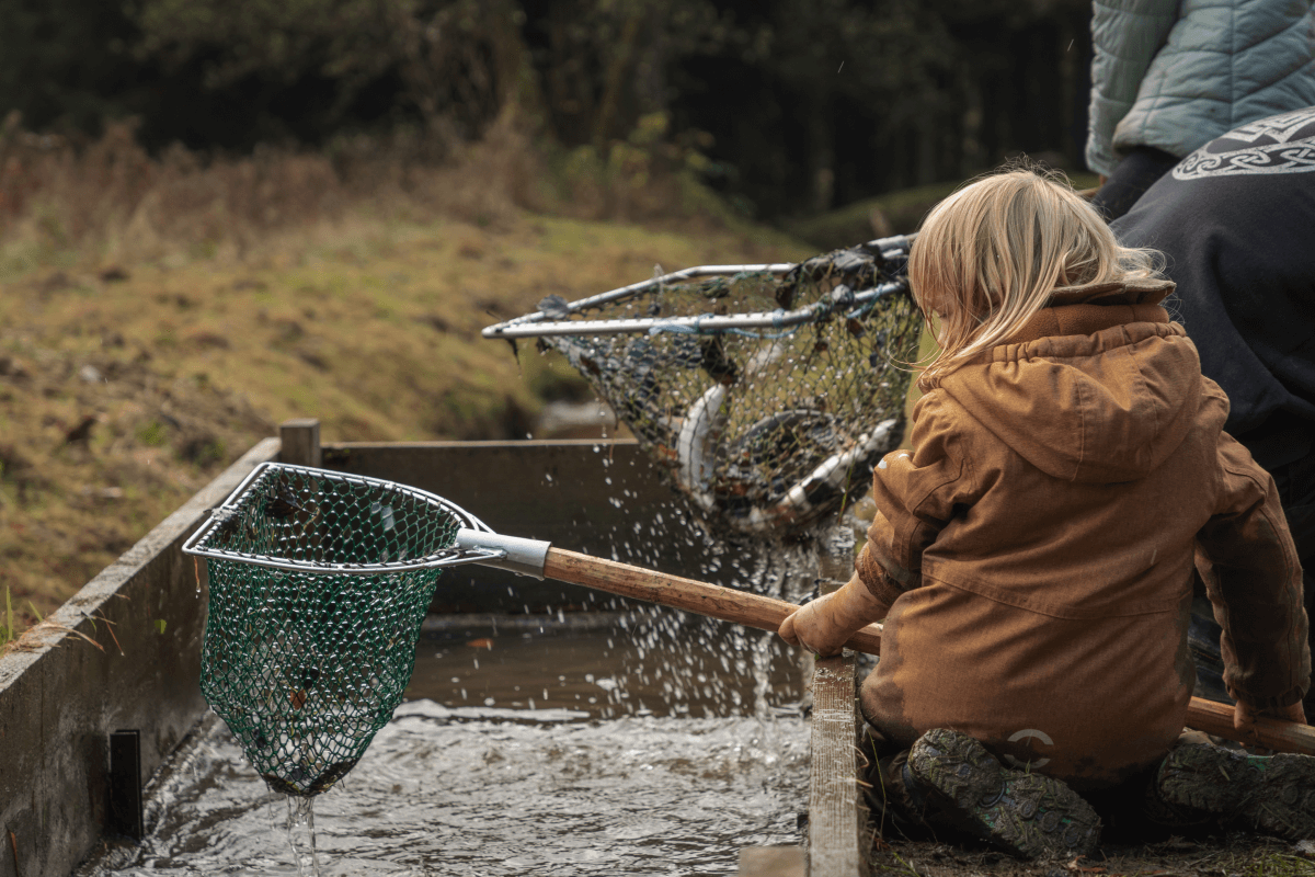 Ein Bild zur Veranschaulichung