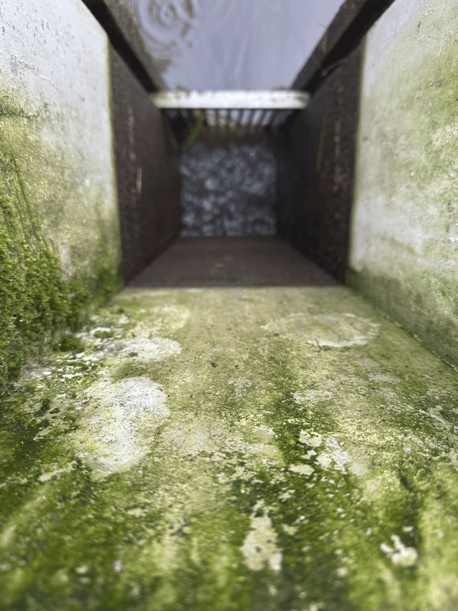 Ein Bild zur Veranschaulichung