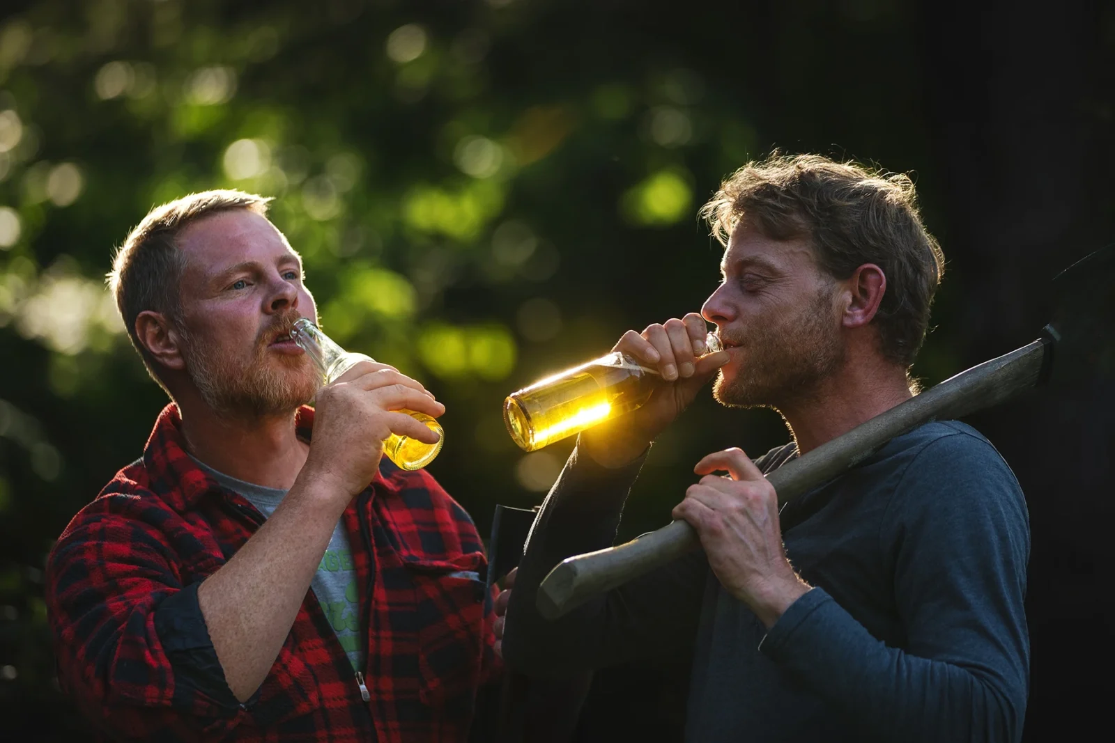 Ein Bild zur Veranschaulichung